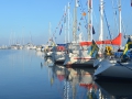 DSC_0556.JPG